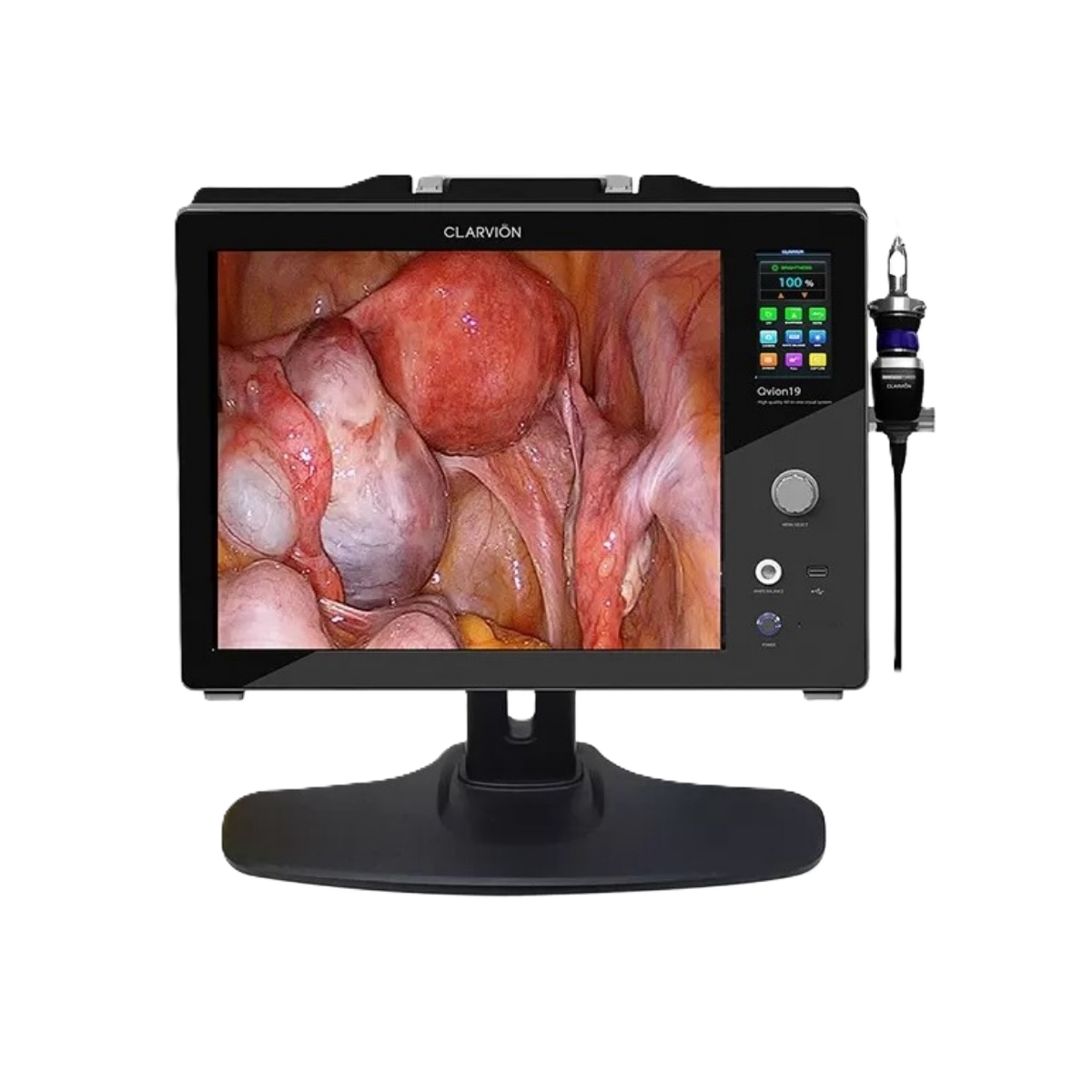 Видеосистема Chammed QVION 19 (HD)