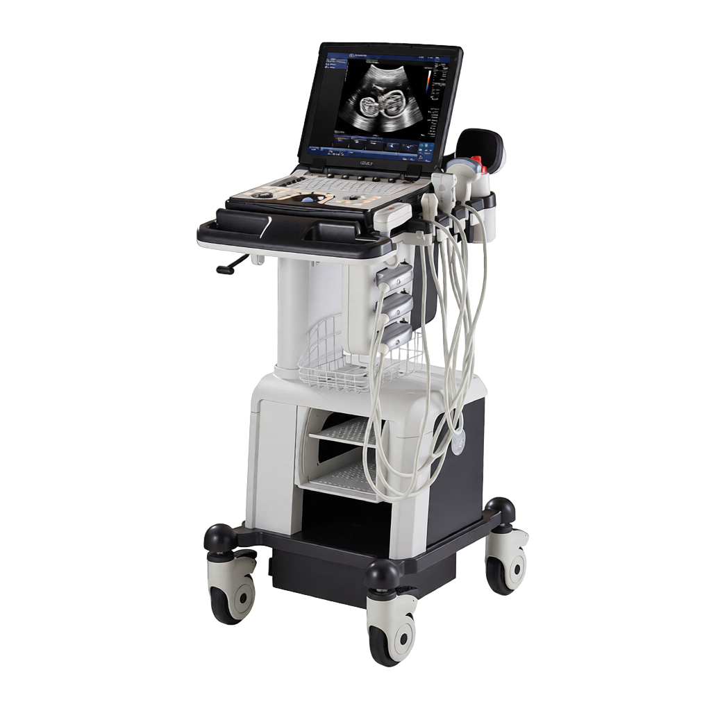 Портативная ультразвуковая система GE Healthcare LOGIQ E