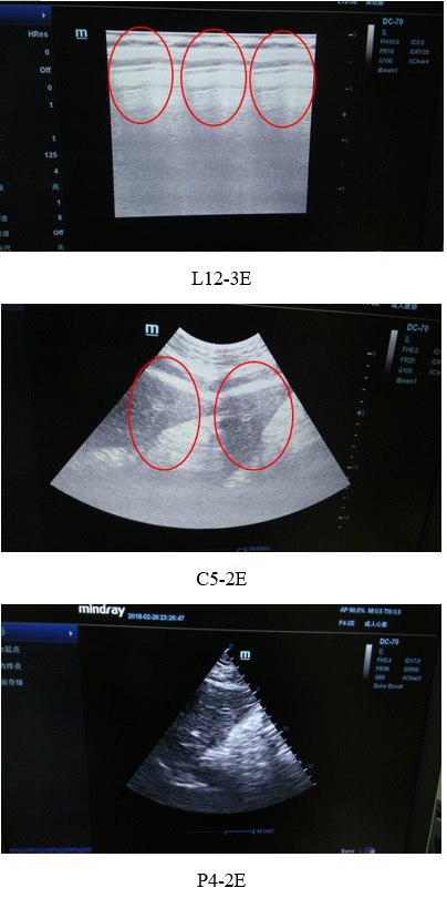 128f2516f89d5737592a0 (1).png